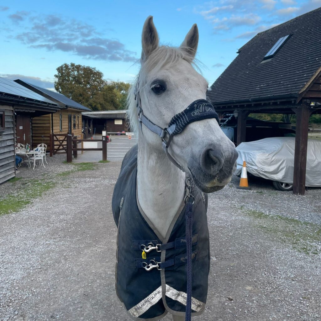 4439ba18 7566 4a25 a87b 62ed9751fa86