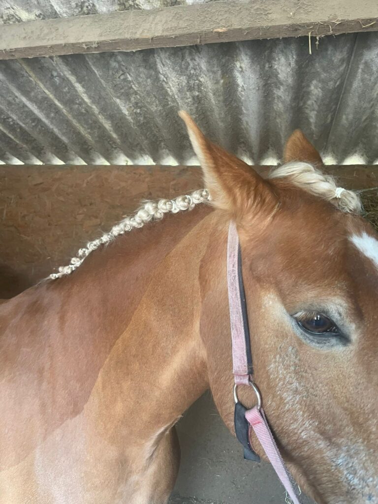 488ea6fd cebe 4077 a3d1 5b0bf98ca01f