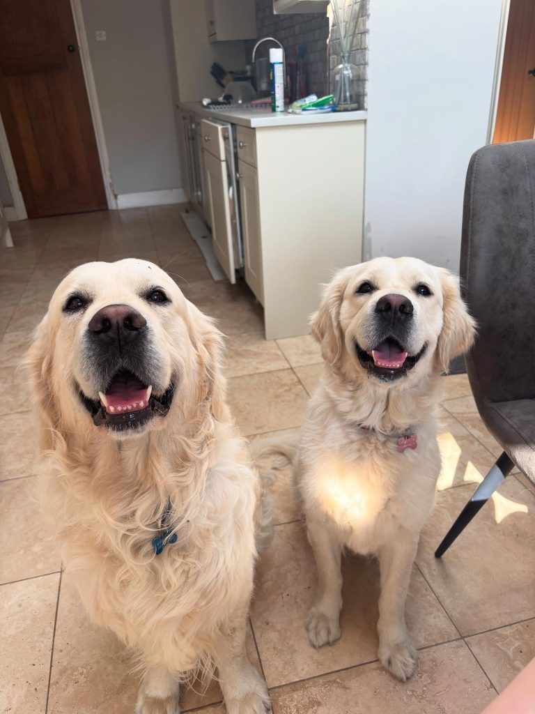 518249185-17888522292295784-7241484578413515803-n