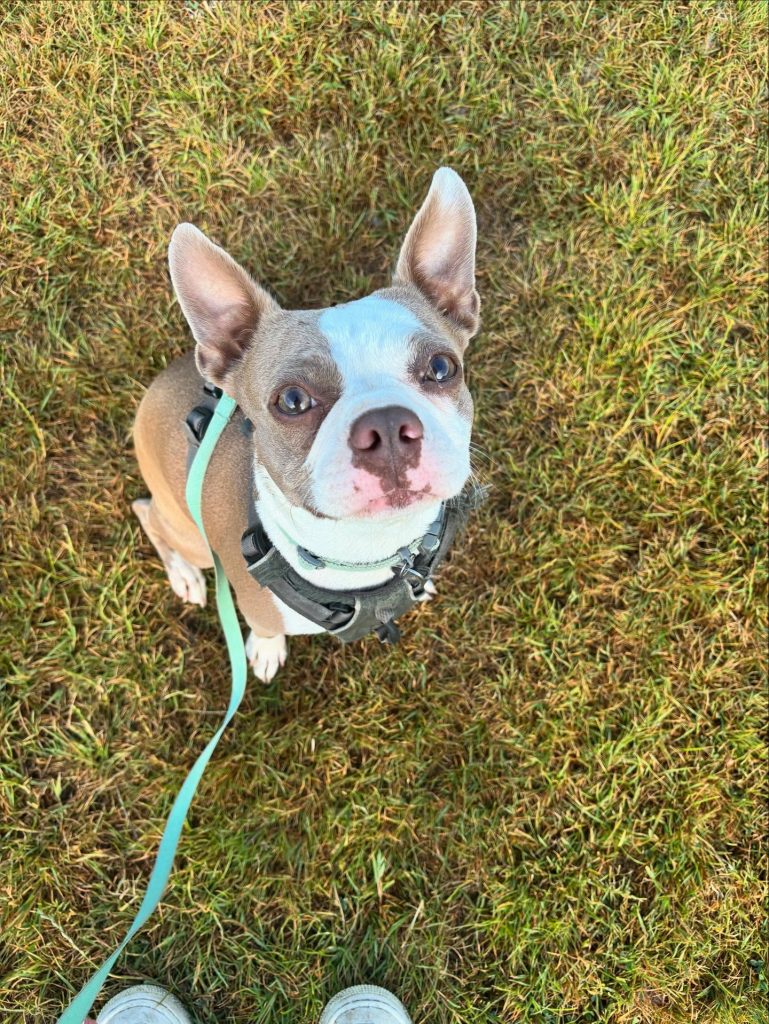 519532949-17888888631295784-7582232924523491631-n