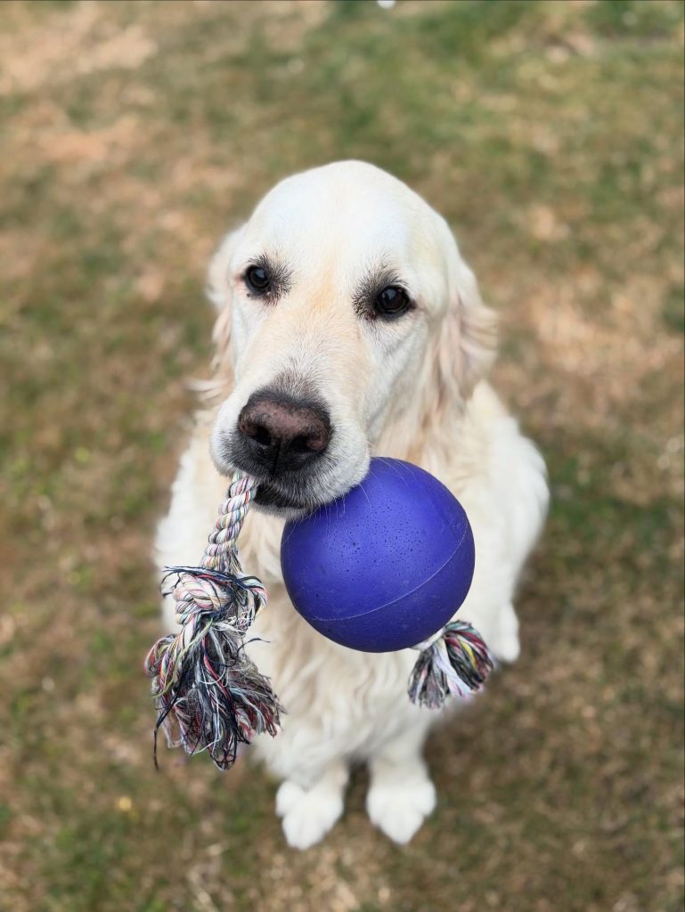 538844309-17893734537295784-1365360821282826251-n