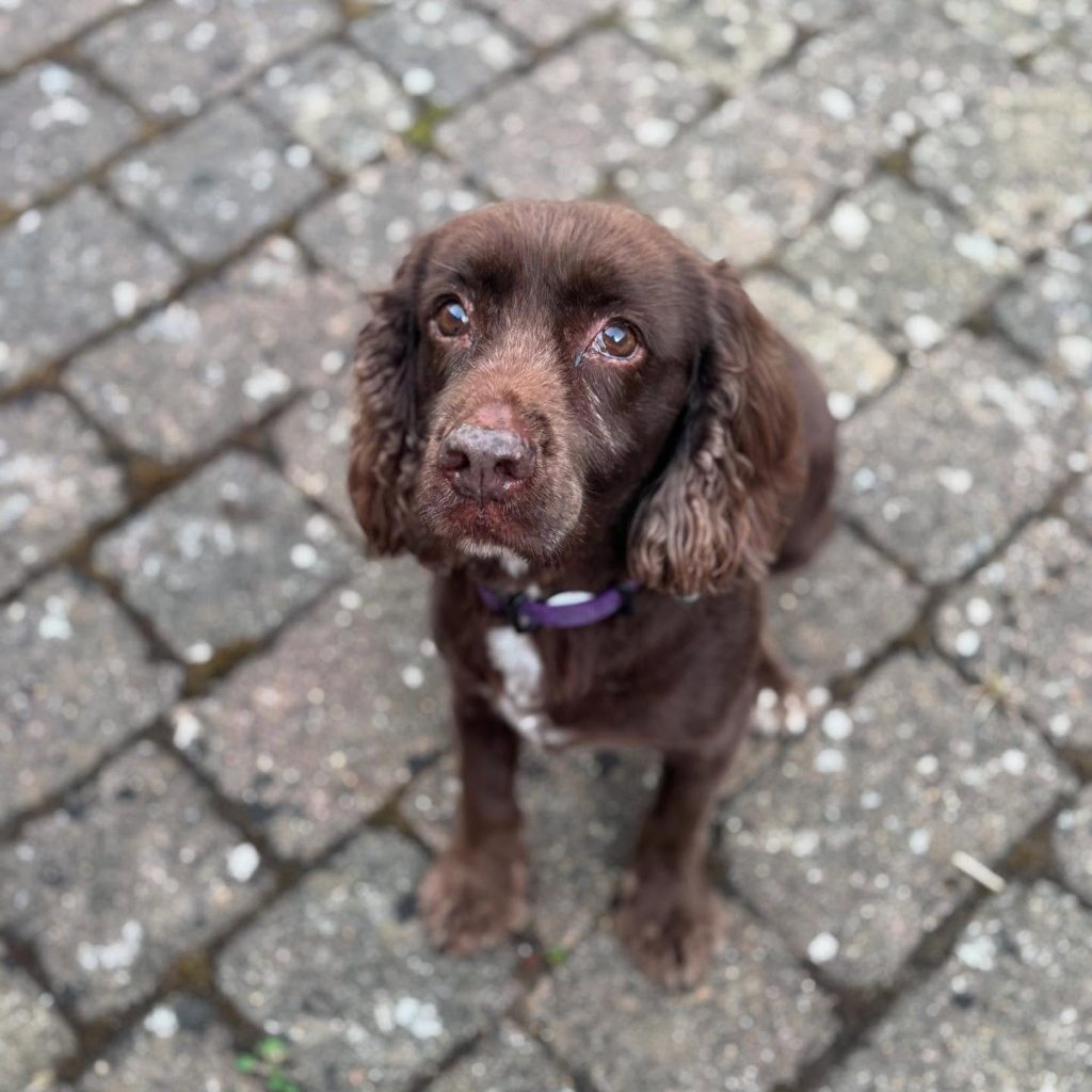 541757633-17894770407295784-1911217393058800406-n