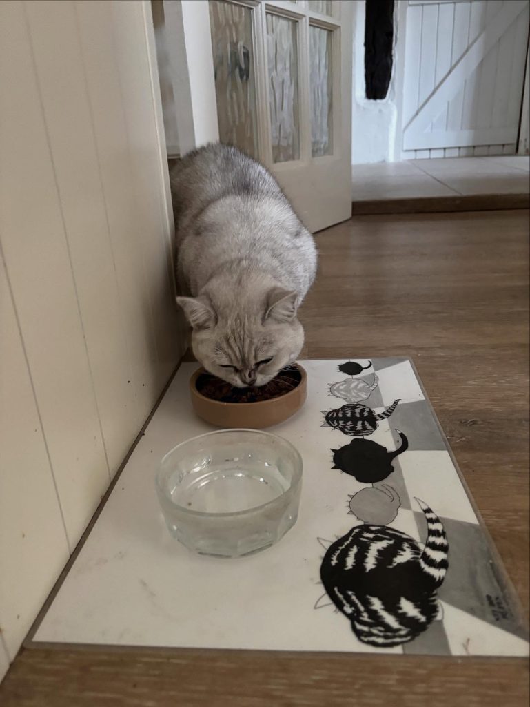 544126840-17895730773295784-2574347696792472395-n