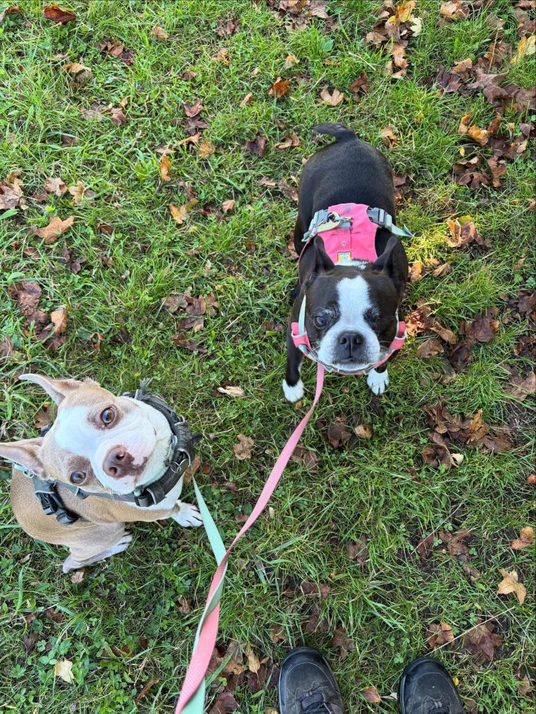 556052979-17898144978295784-6632002072642452782-n