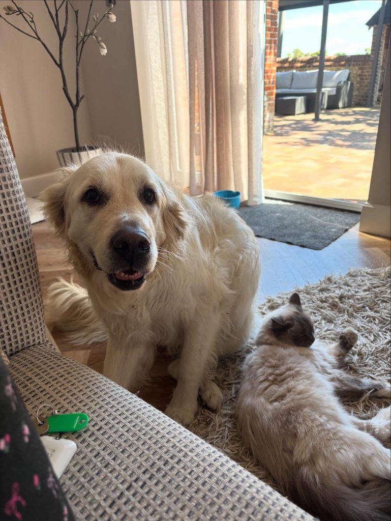 556819055-17898145023295784-7531351048383024535-n