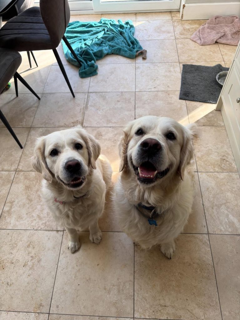 557411895-17898144969295784-8331772856013355426-n