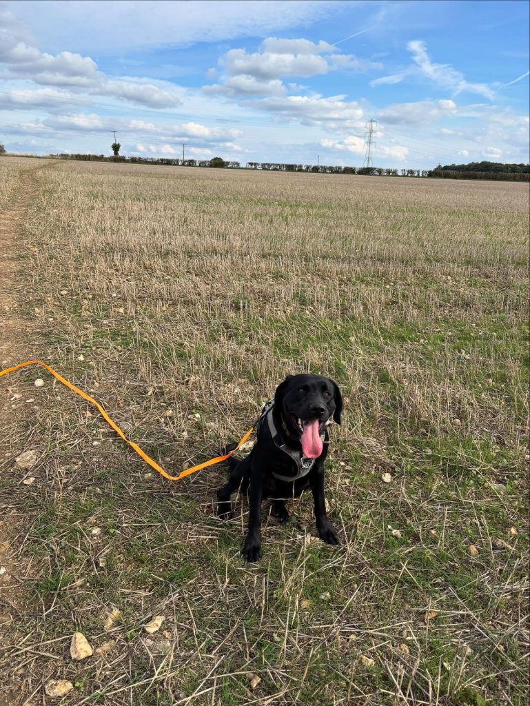 561807452-17899395441295784-8003234489179137821-n