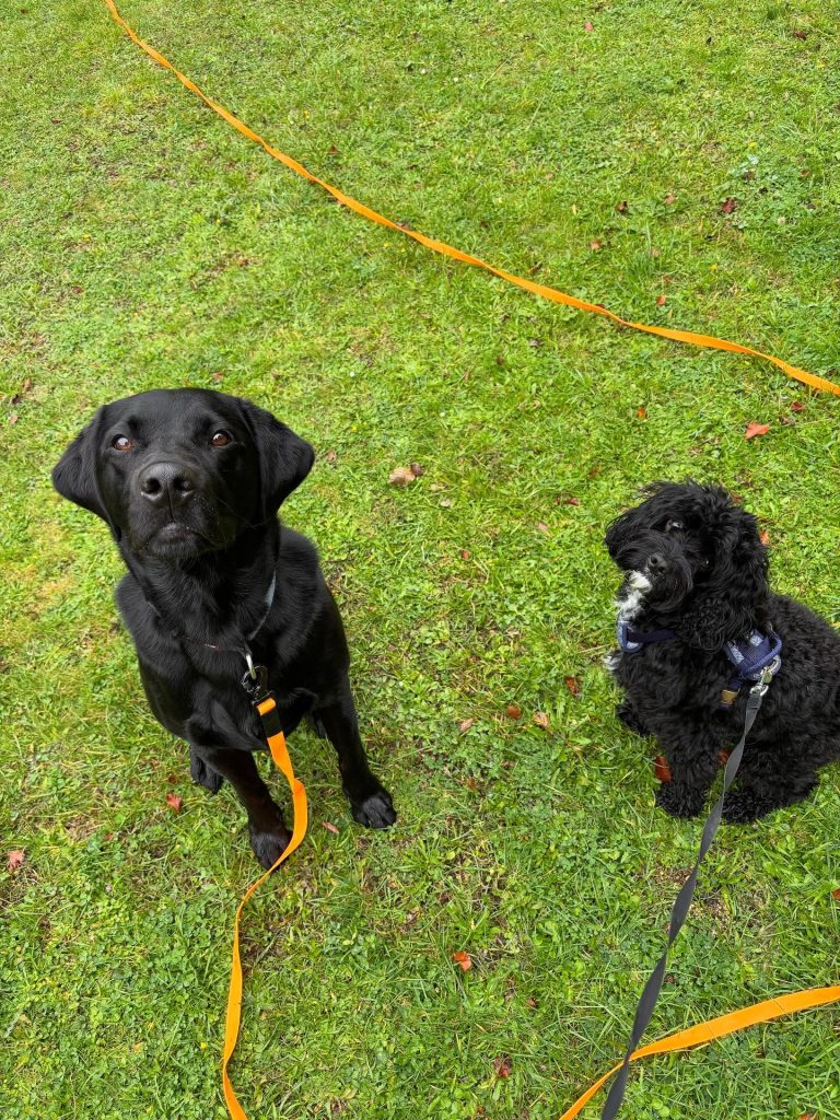 567475416-17900477745295784-726558686834468217-n