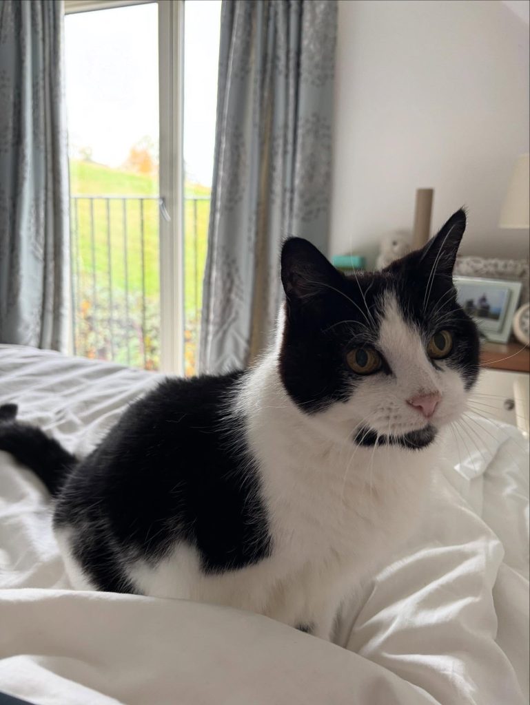 571488793-17900834931295784-4619181916291865759-n