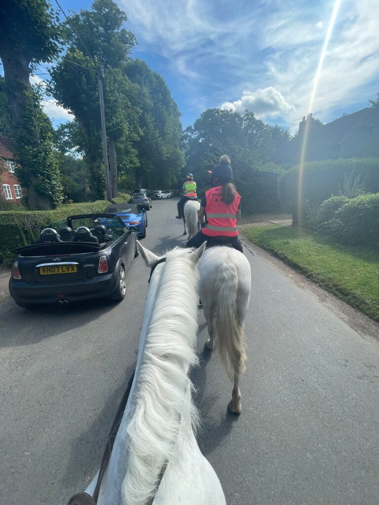 93aff8fd 75f0 44a8 a869 567508ac5238